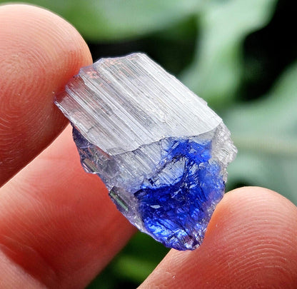 Terminated Bicolor Tanzanite Crystal 1.81g, Raw Tanzanian Specimen