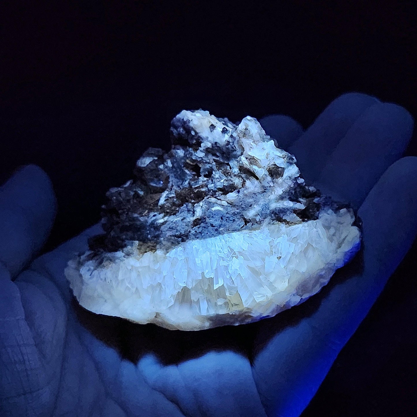 Calcite Clam Shell Fossil, Rucks Pit Honey Calcite in Shell Fossil