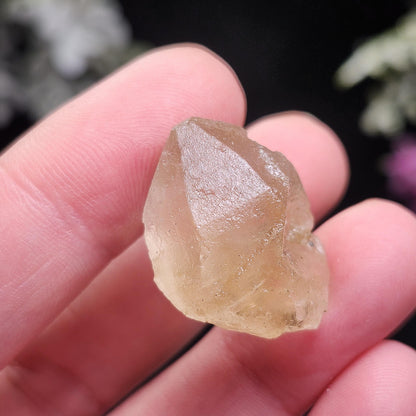 Golden Hanksite Specimen: UV Reactive Salt Crystal from Searles Lake