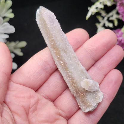 Angel Chiming Cactus Quartz, Cactus Quartz Specimen from South Africa