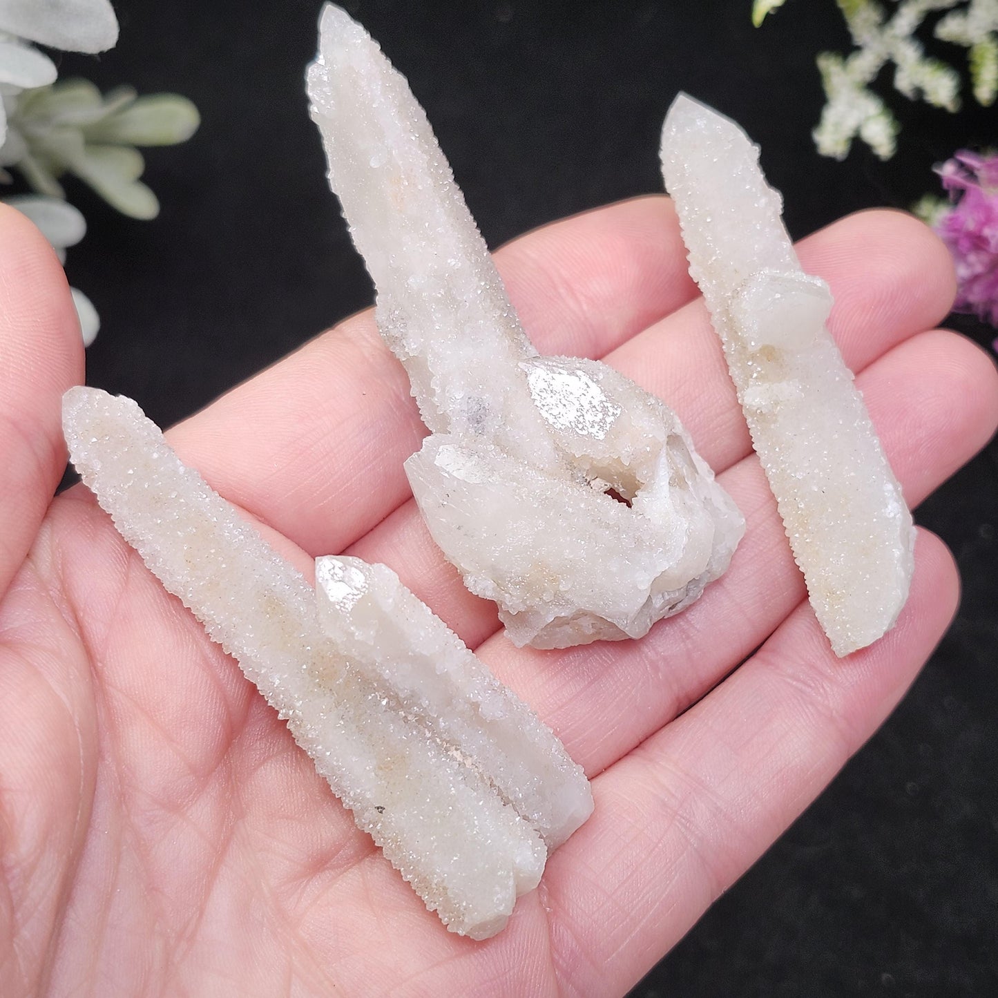Angel Chiming Cactus Quartz, Cactus Quartz Specimen from South Africa