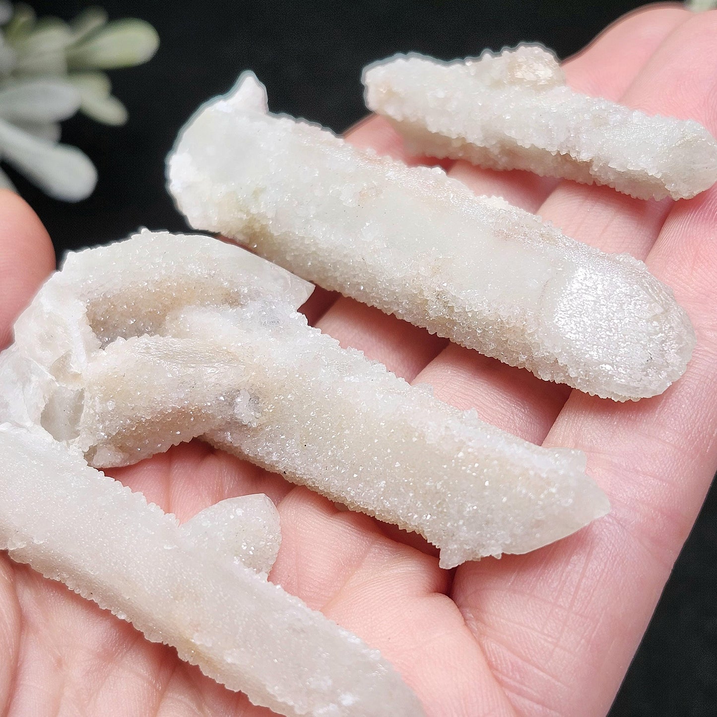 Angel Chiming Cactus Quartz, Cactus Quartz Specimen from South Africa