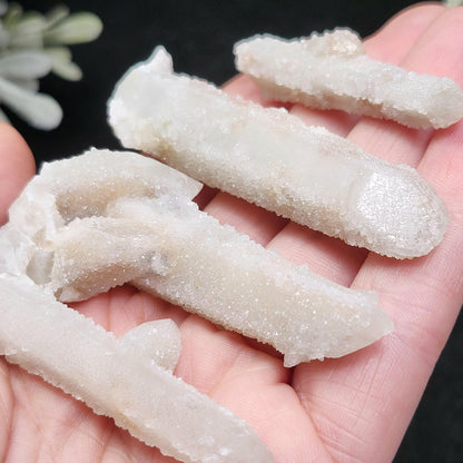 Angel Chiming Cactus Quartz, Cactus Quartz Specimen from South Africa