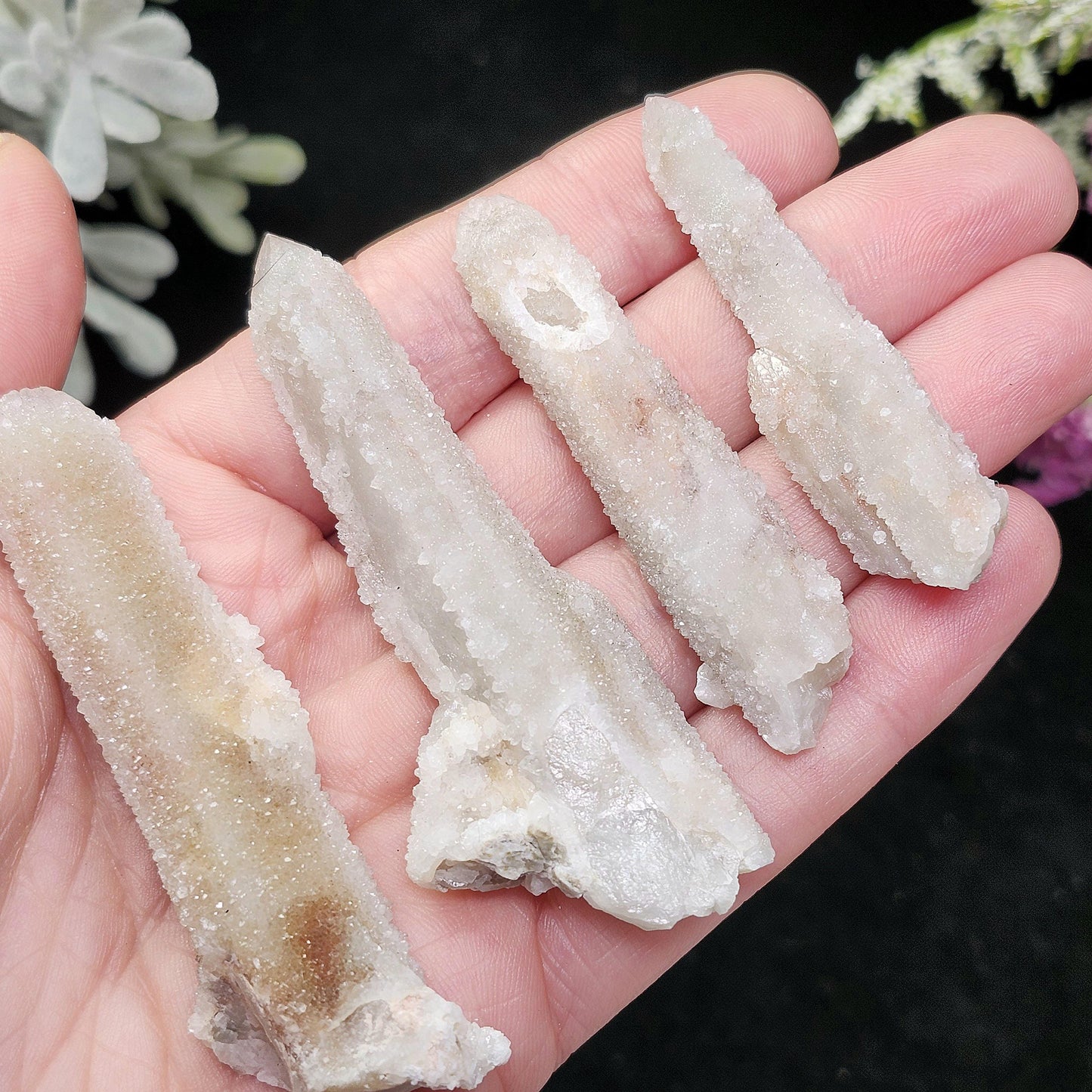 Angel Chiming Cactus Quartz, Cactus Quartz Specimen from South Africa