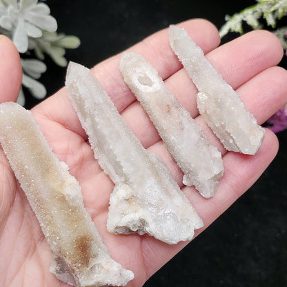 Angel Chiming Cactus Quartz, Cactus Quartz Specimen from South Africa