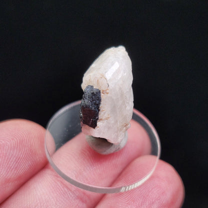 White Phenacite Crystal 4g, Nigerian Phenakite with Black Tourmaline