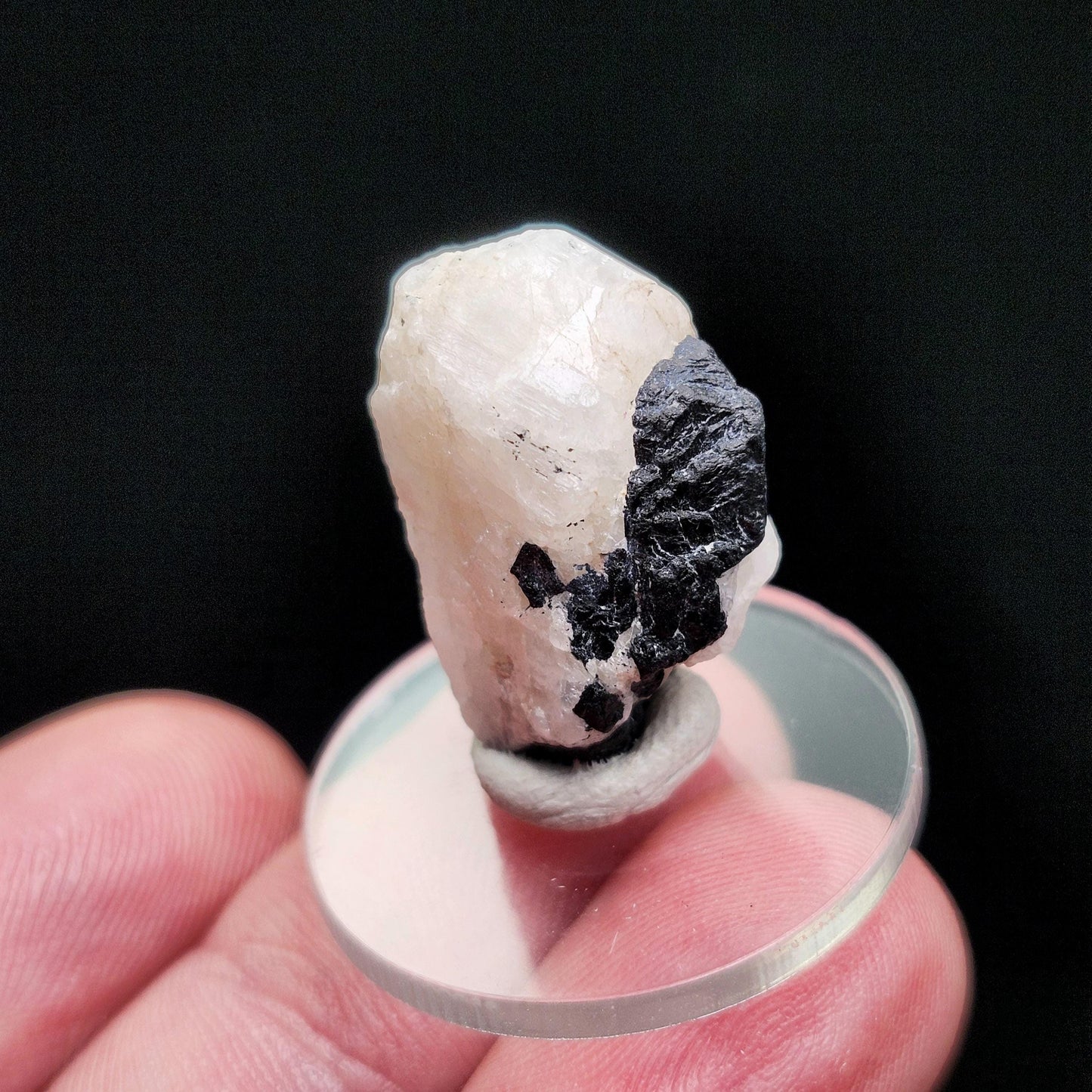 White Phenacite Crystal 4g, Nigerian Phenakite with Black Tourmaline