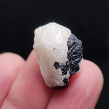 White Phenacite Crystal 4g, Nigerian Phenakite with Black Tourmaline