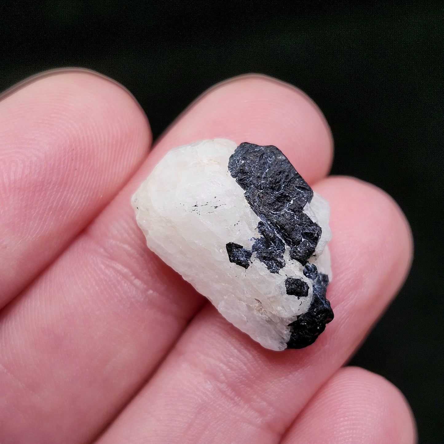 White Phenacite Crystal 4g, Nigerian Phenakite with Black Tourmaline