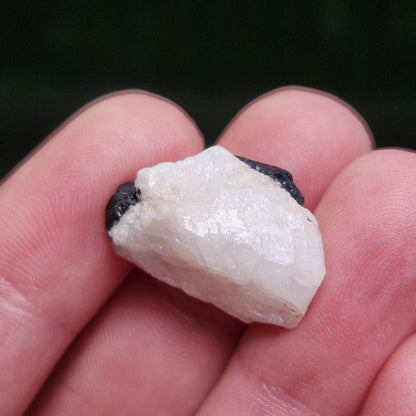 White Phenacite Crystal 4g, Nigerian Phenakite with Black Tourmaline
