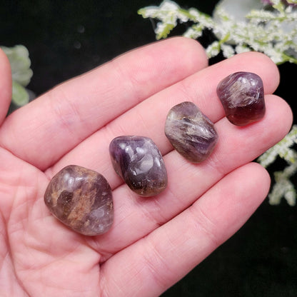 Tumbled Smoky Ametrine, Brazilian Crystal