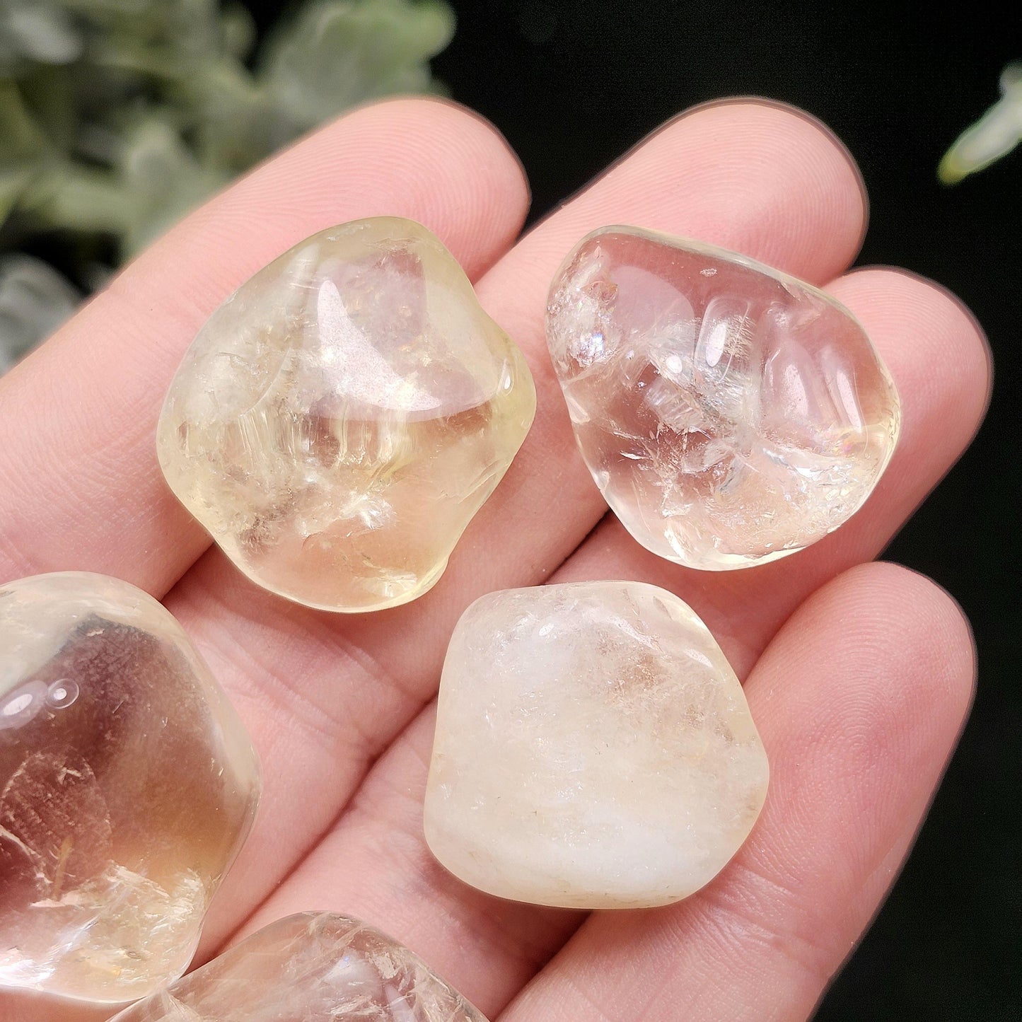 Champagne Citrine Tumbled Stone, Pale Yellow Quartz