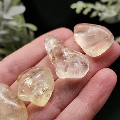 Champagne Citrine Tumbled Stone, Pale Yellow Quartz
