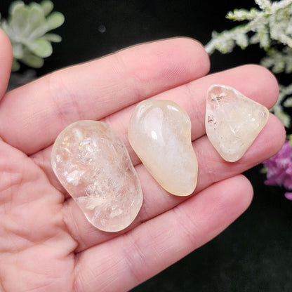 Champagne Citrine Tumbled Stone, Pale Yellow Quartz