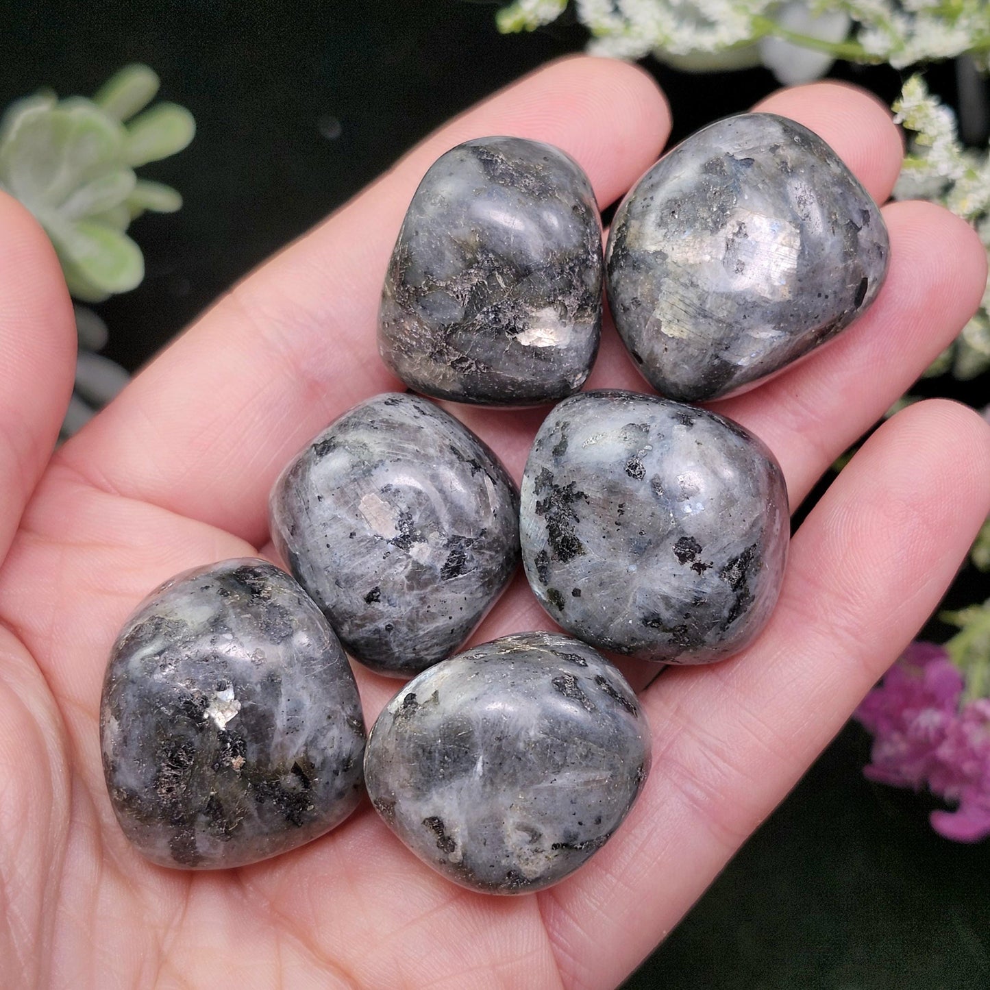 Polished Larvikite Stone, Monzonite Gemstone