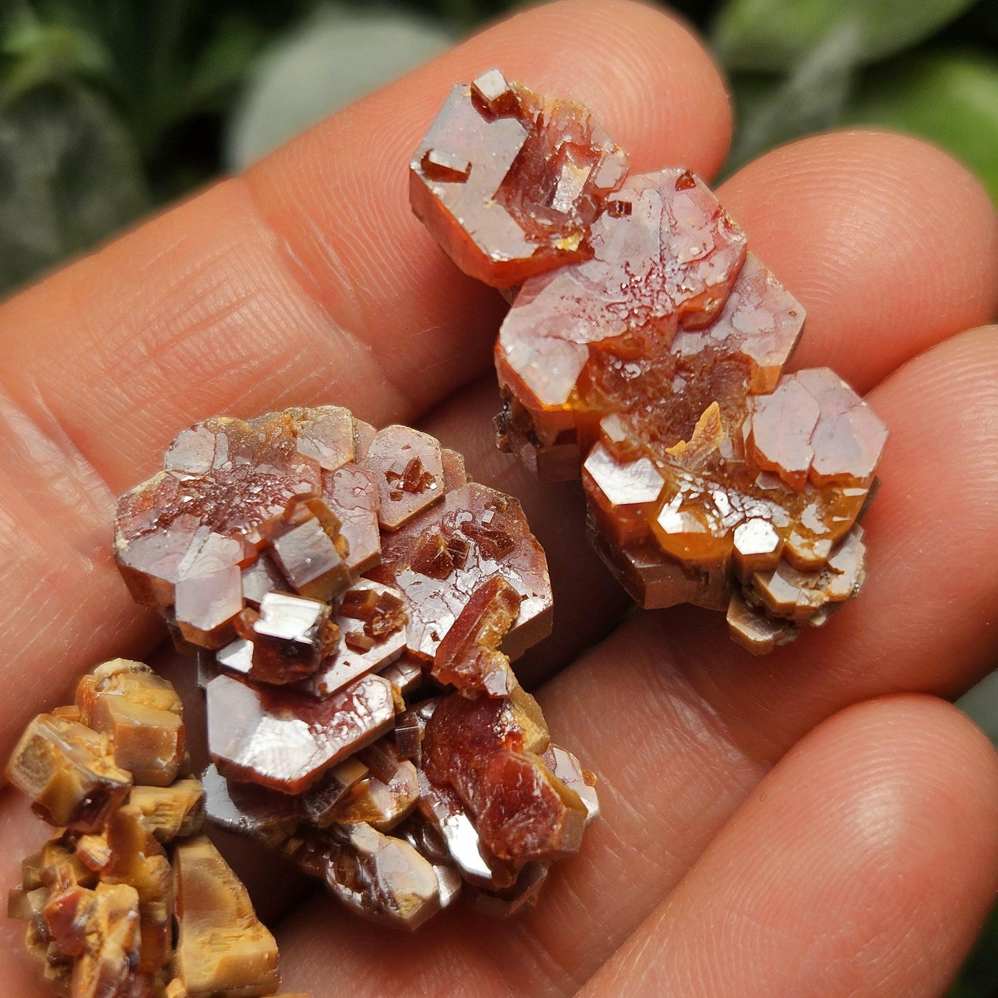 Vanadinite Cluster, Vanadinite Crystal Specimen