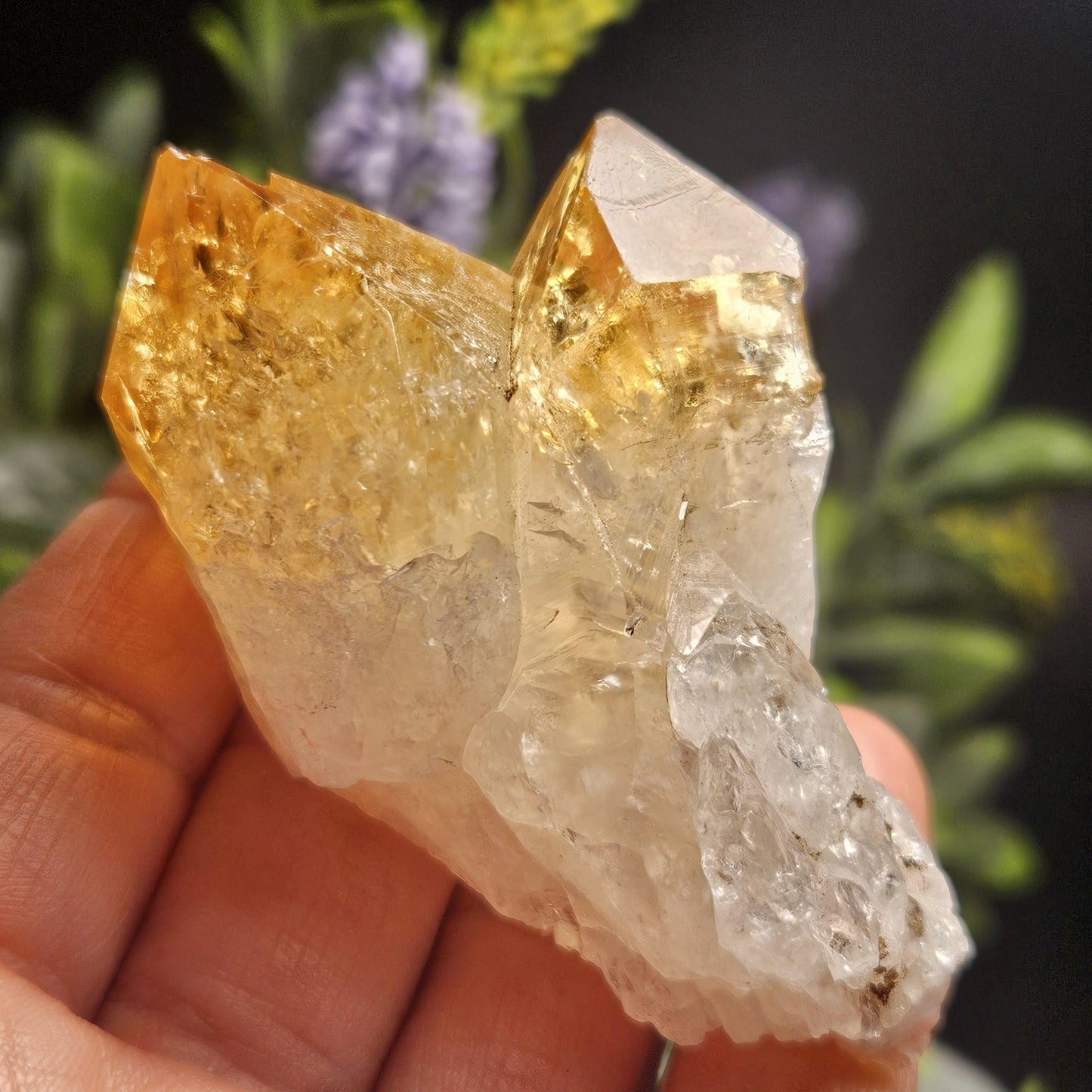 Brazilian Citrine Point, Citrine Crystal