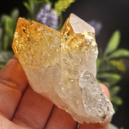 Brazilian Citrine Point, Citrine Crystal