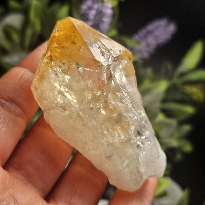Brazilian Citrine Point, Citrine Crystal
