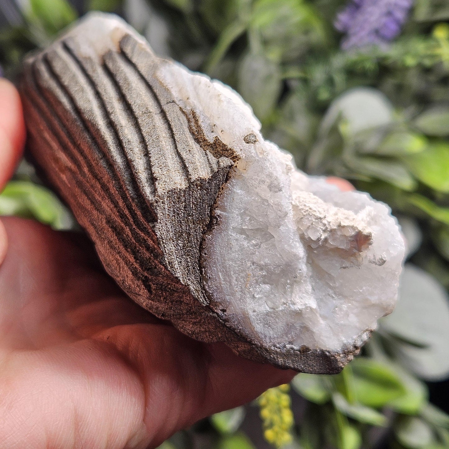 Mordenite Crystals on Blue Chalcedony, Raw Mordenite Crystal Cluster
