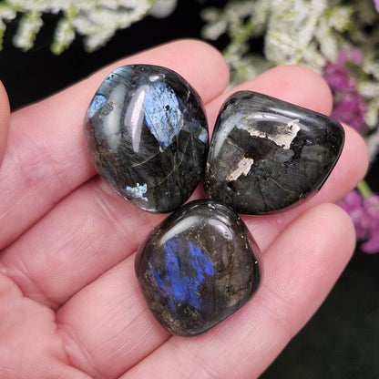 Larvikite Polished Crystal, Monzonite Gemstone