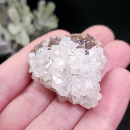 Datolite Crystal Specimen, Raw Datolite Crystal 1.25"+