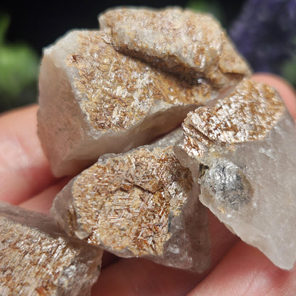 Geometric Sagenite Rutile Quartz, Brazilian Golden Rutilated Quartz