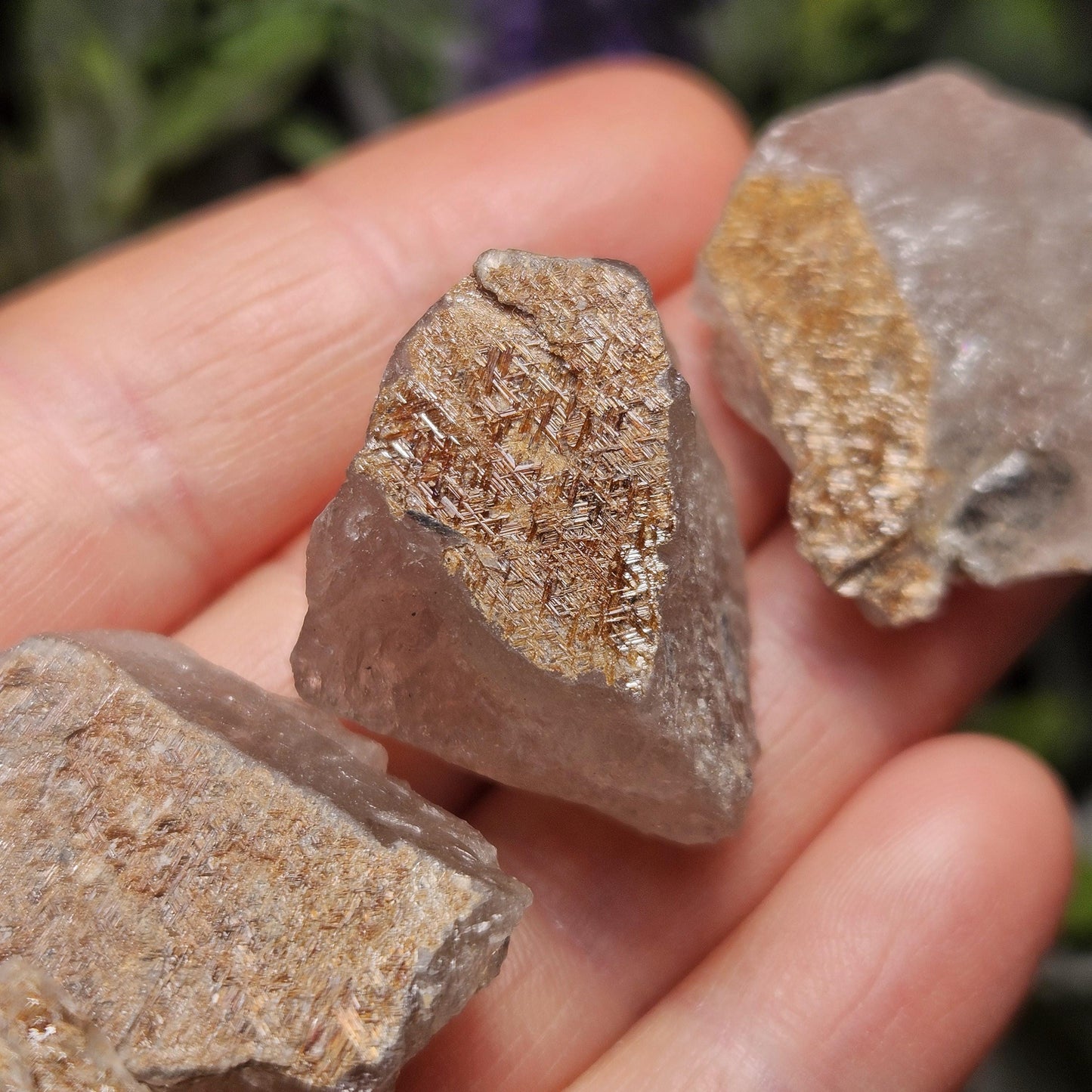 Geometric Sagenite Rutile Quartz, Brazilian Golden Rutilated Quartz