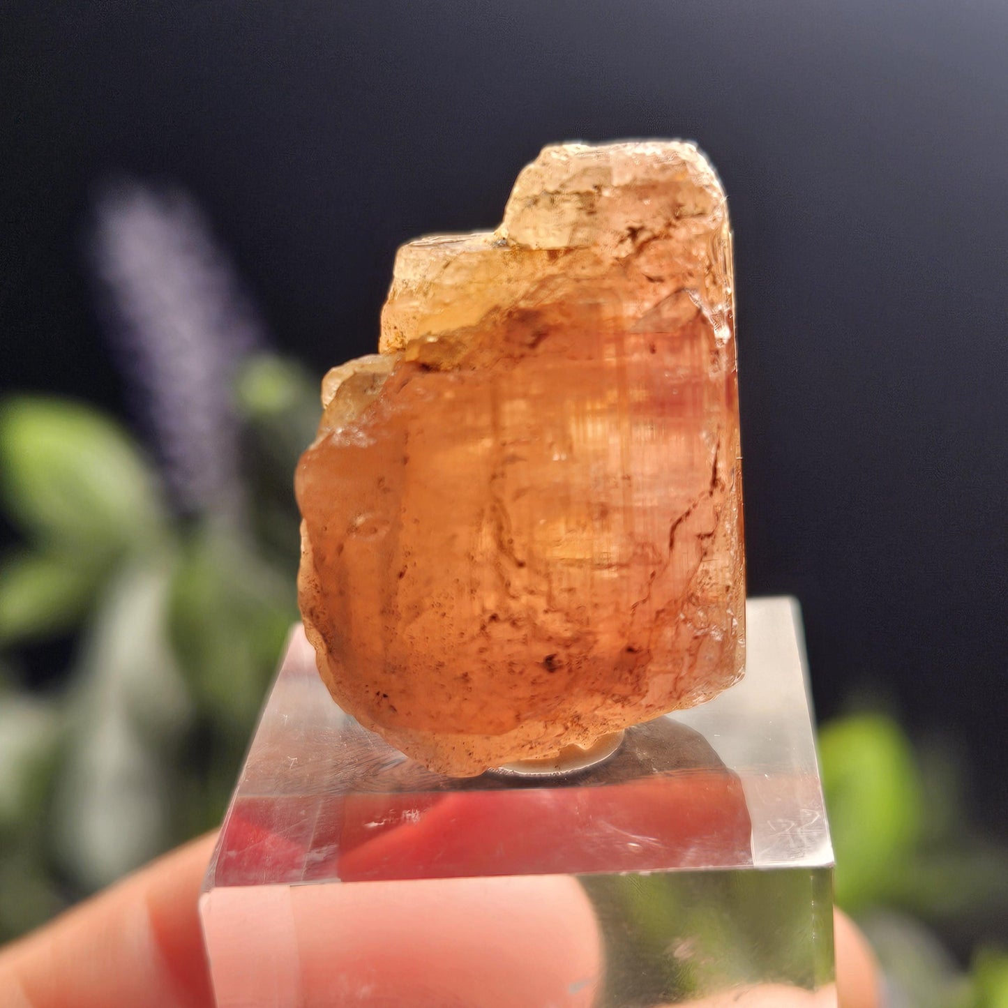 Raw Pink Topaz Crystal 13.9g, Bicolored Topaz, Ouro Preto, Brazil