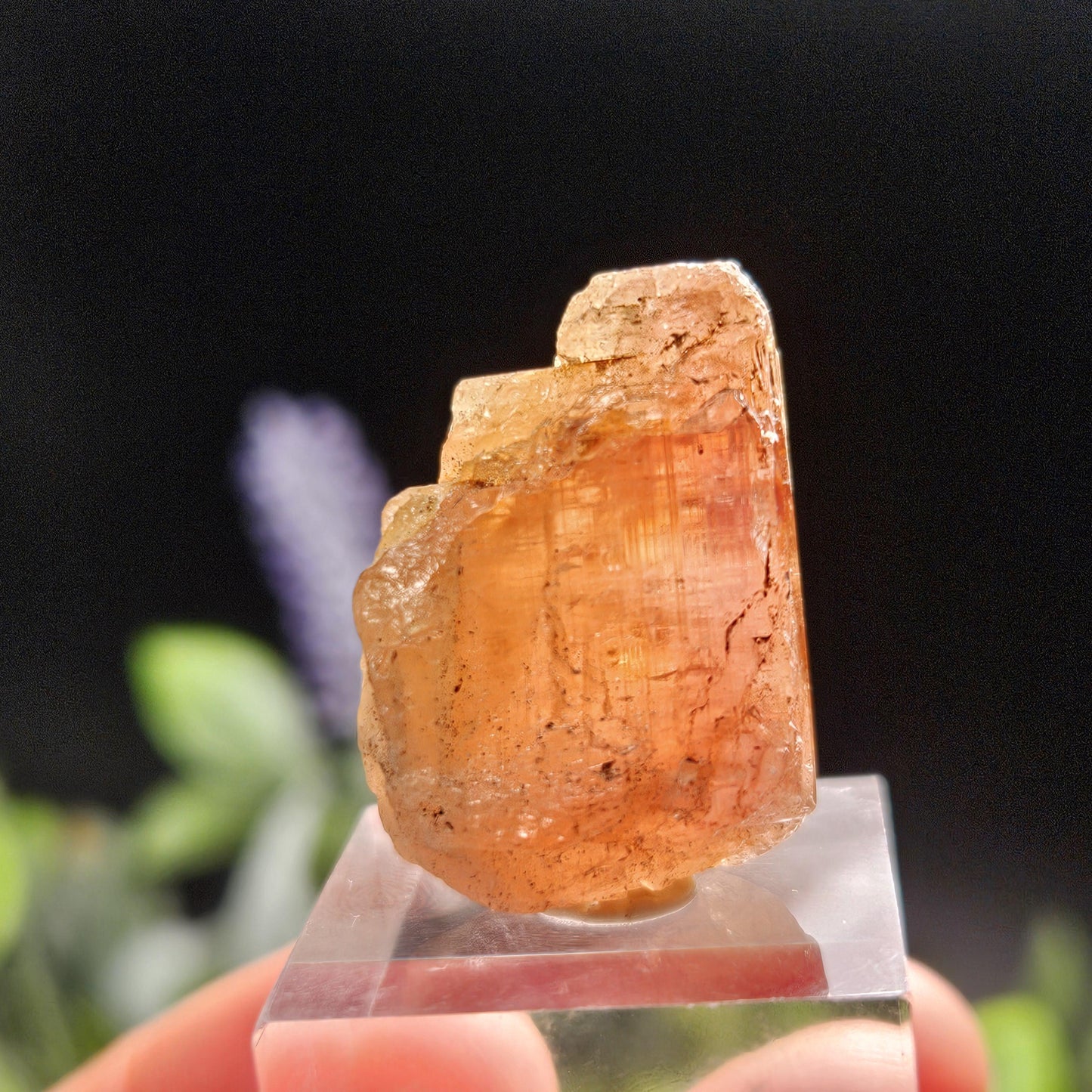 Raw Pink Topaz Crystal 13.9g, Bicolored Topaz, Ouro Preto, Brazil