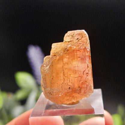 Raw Pink Topaz Crystal 13.9g, Bicolored Topaz, Ouro Preto, Brazil
