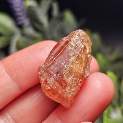 Raw Pink Topaz Crystal 13.9g, Bicolored Topaz, Ouro Preto, Brazil