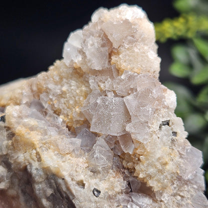 Bingham Blue Fluorite Crystal 352g, UV Reactive, Cubic Fluorite Cluster, Blanchard Mine