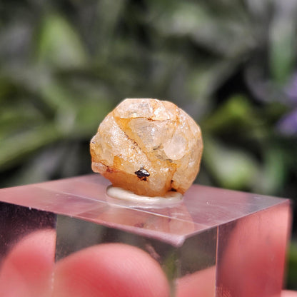 Terminated Golden Phenacite Crystal 1.38g, Nigerian Phenakite Specimen