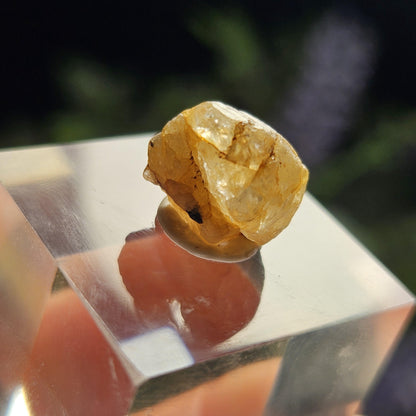 Terminated Golden Phenacite Crystal 1.38g, Nigerian Phenakite Specimen