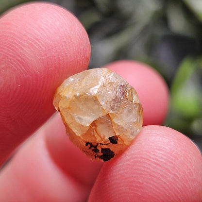 Terminated Golden Phenacite Crystal 1.38g, Nigerian Phenakite Specimen