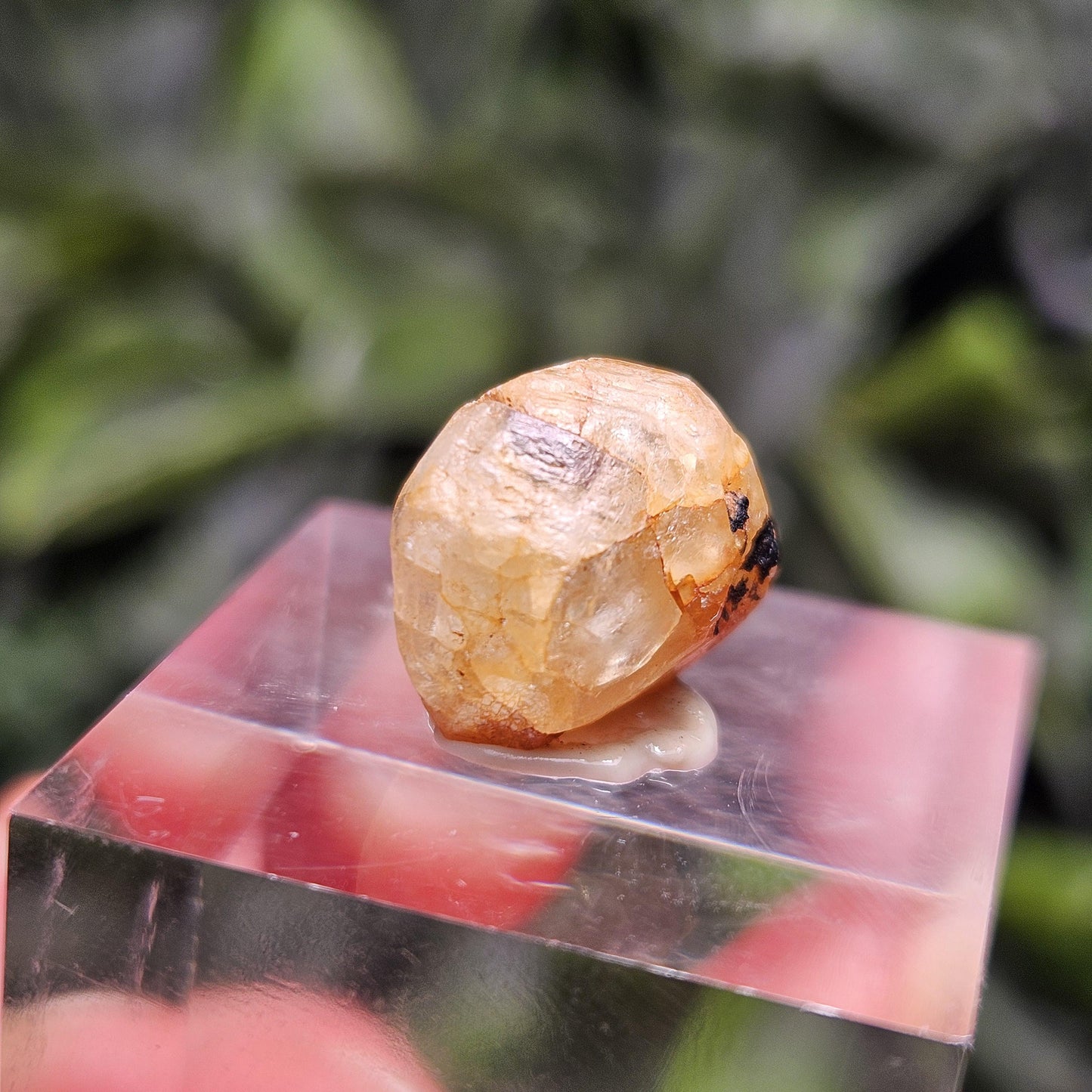 Terminated Golden Phenacite Crystal 1.38g, Nigerian Phenakite Specimen