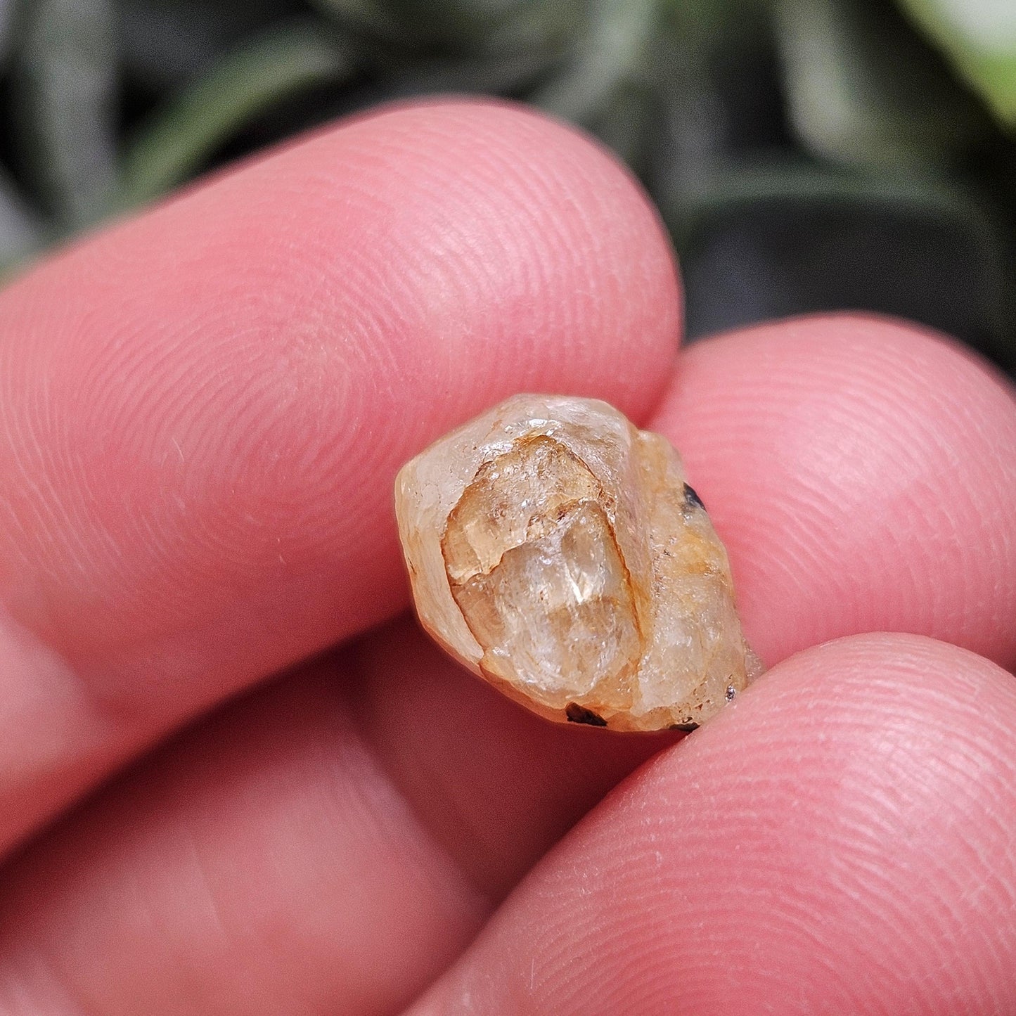 Terminated Golden Phenacite Crystal 1.38g, Nigerian Phenakite Specimen