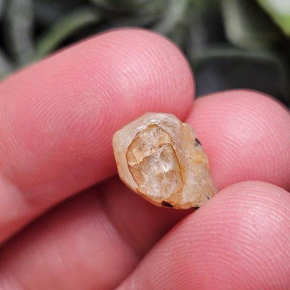 Terminated Golden Phenacite Crystal 1.38g, Nigerian Phenakite Specimen