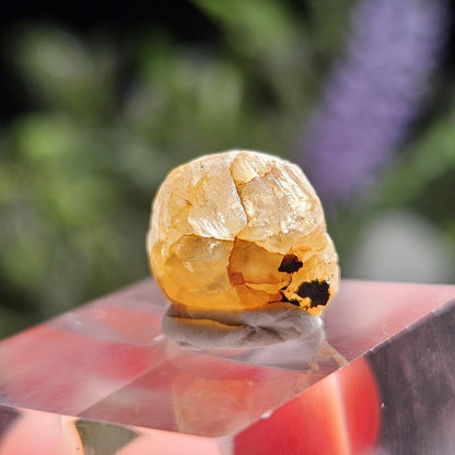 Terminated Golden Phenacite Crystal 1.38g, Nigerian Phenakite Specimen