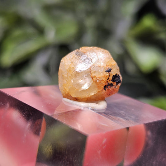 Terminated Golden Phenacite Crystal 1.38g, Nigerian Phenakite Specimen