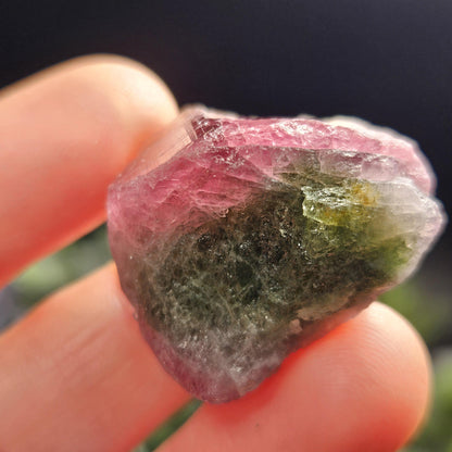 Watermelon Tourmaline 16g, Brazilian Tourmaline Raw Crystal, Green & Pink Specimen