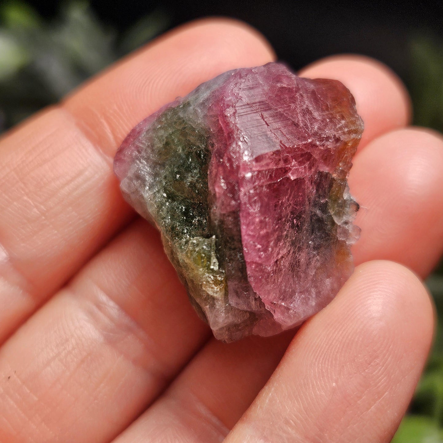 Watermelon Tourmaline 16g, Brazilian Tourmaline Raw Crystal, Green & Pink Specimen