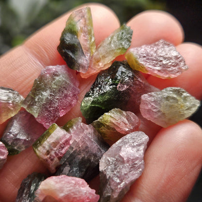 Watermelon Tourmaline Crystal, Choose Your Size, Brazilian Raw Tourmaline Specimen, Green & Pink