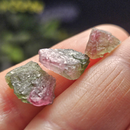 Watermelon Tourmaline Crystal, Choose Your Size, Brazilian Raw Tourmaline Specimen, Green & Pink