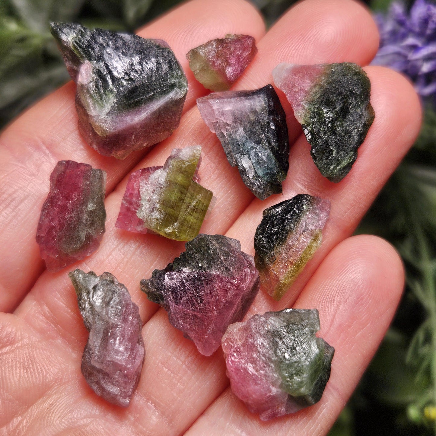 Watermelon Tourmaline Crystal, Choose Your Size, Brazilian Raw Tourmaline Specimen, Green & Pink