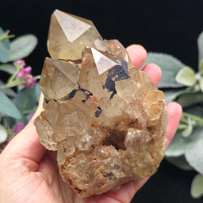 Kundalini Quartz, Natural Congo Citrine Cluster 499g, Smoky Citrine