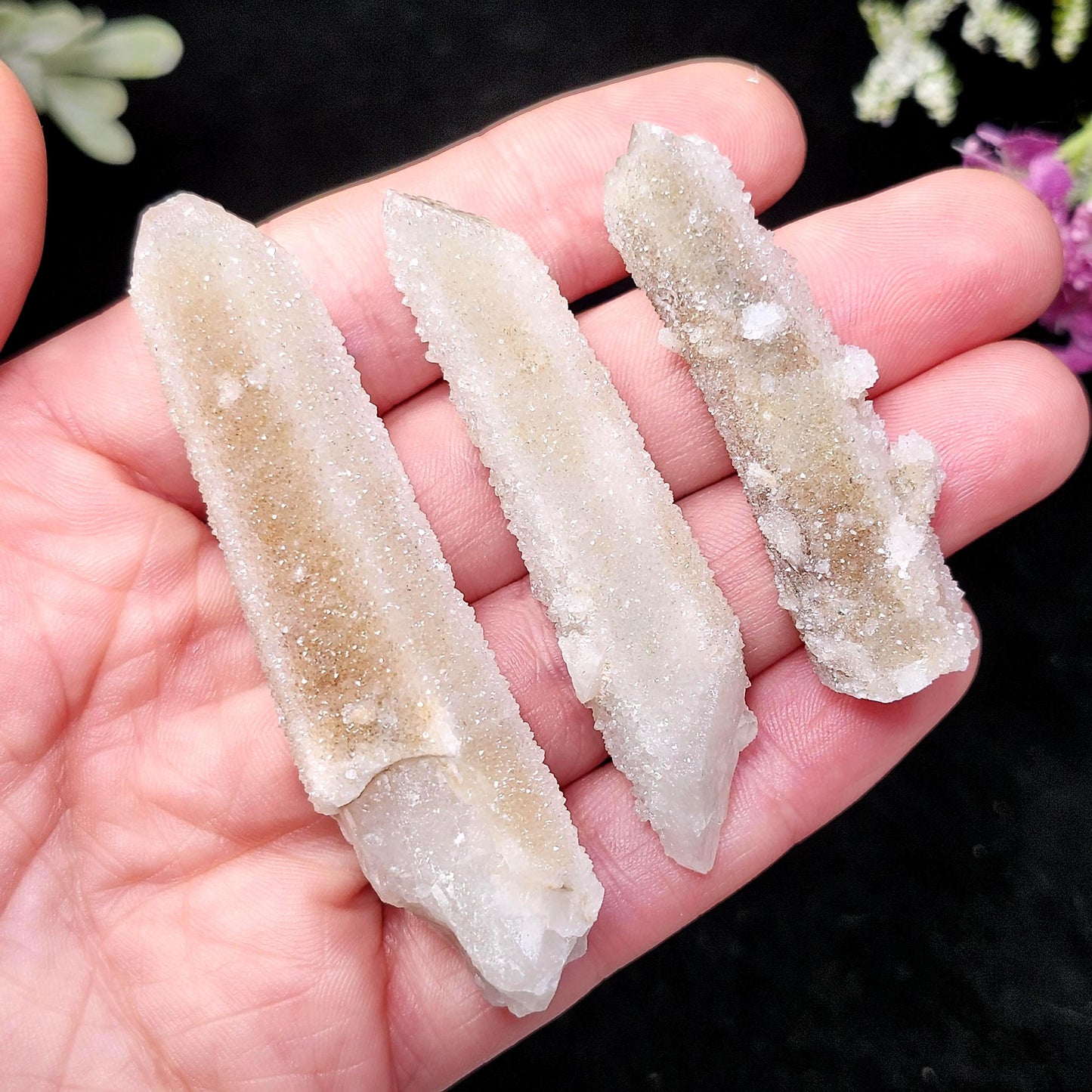 Cactus Quartz (1.5