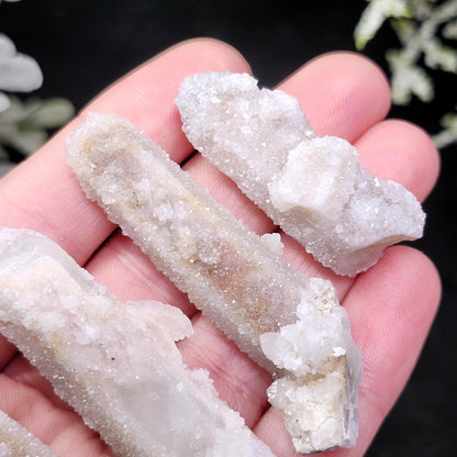 Cactus Quartz (1.5