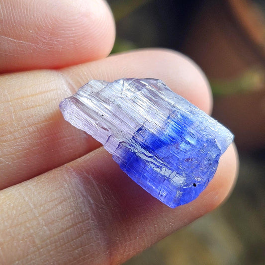 Bicolored Tanzanite Crystal 2.48g, Raw Blue Tanzanite Specimen